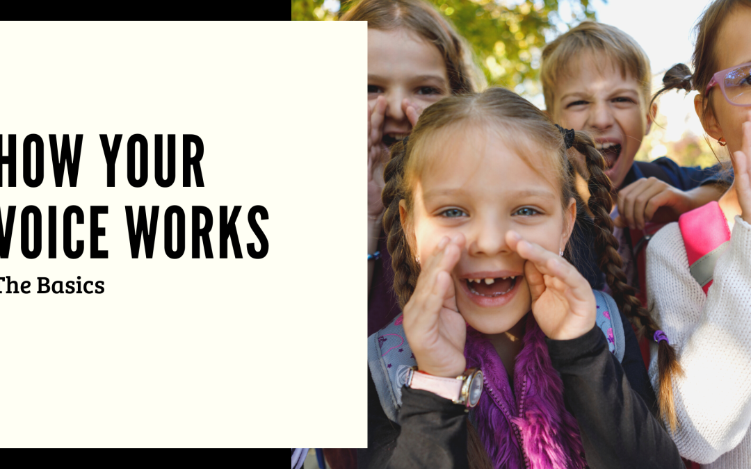 How Your Voice Works